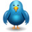 twitter bird front